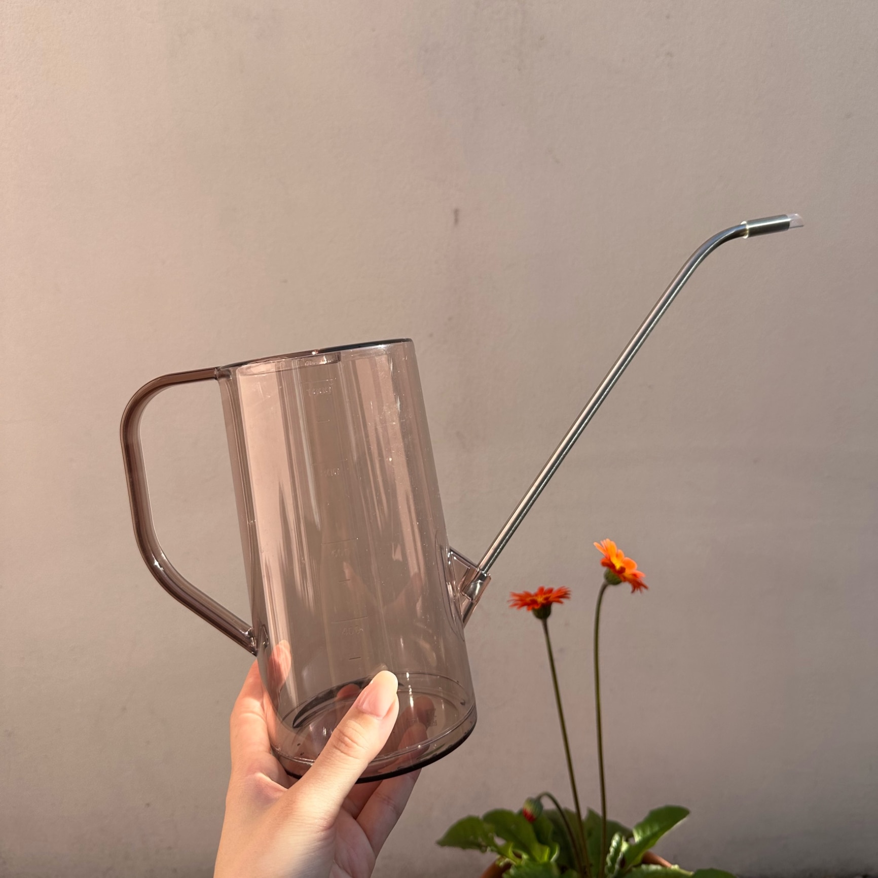 a3cb159f024a9d0a435b82daedc2e4