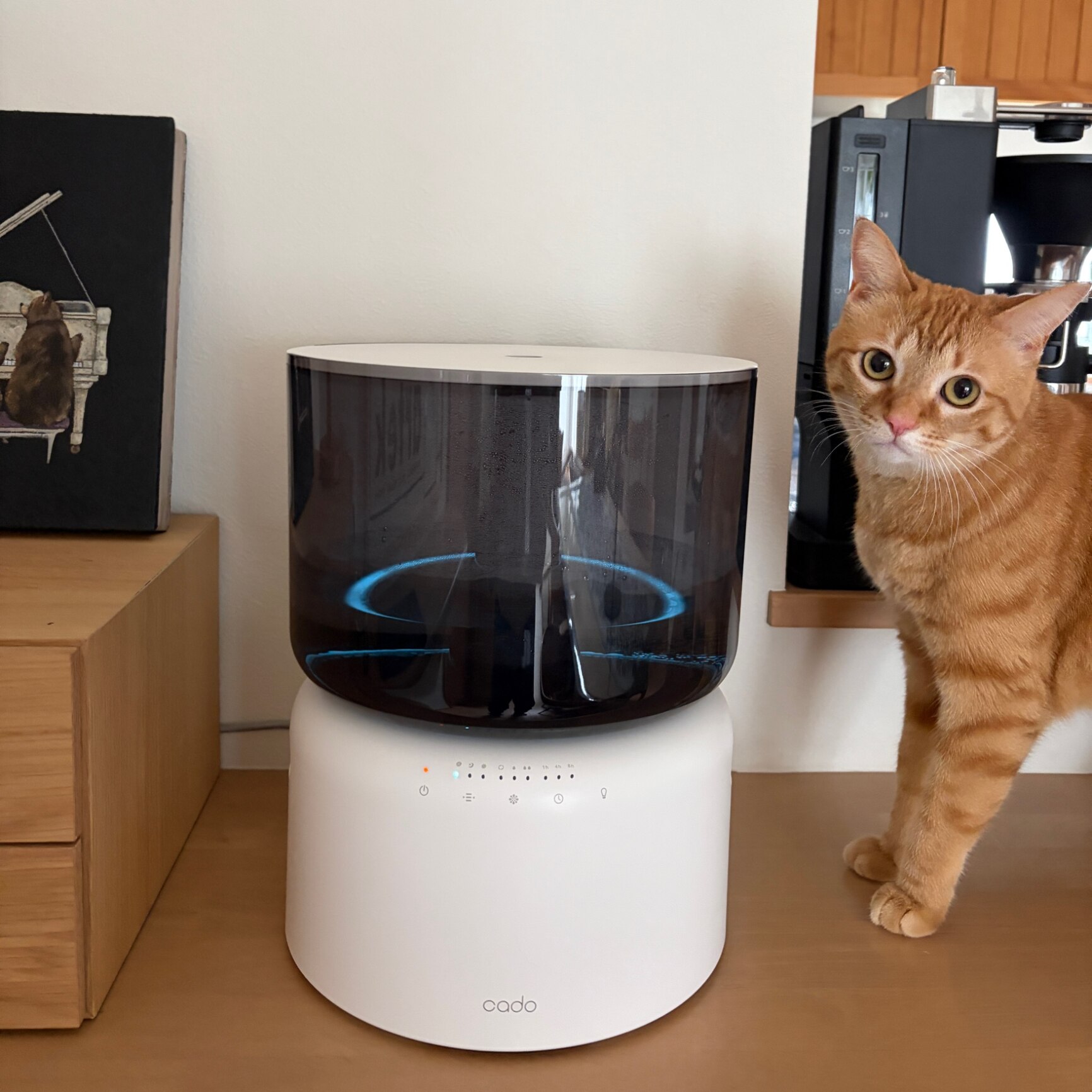 kobapi のROOM - 欲しい! に出会える。