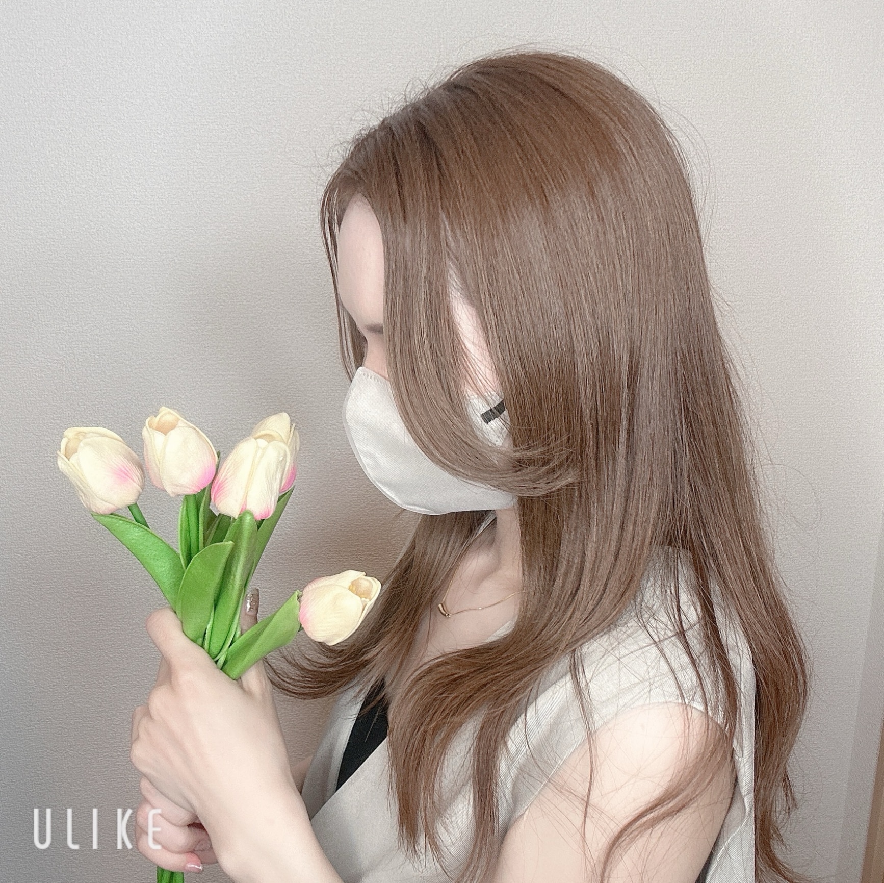 yukikoさん専用⭐︎アモスマーテル yukikoさん専用⭐︎アモスマーテル