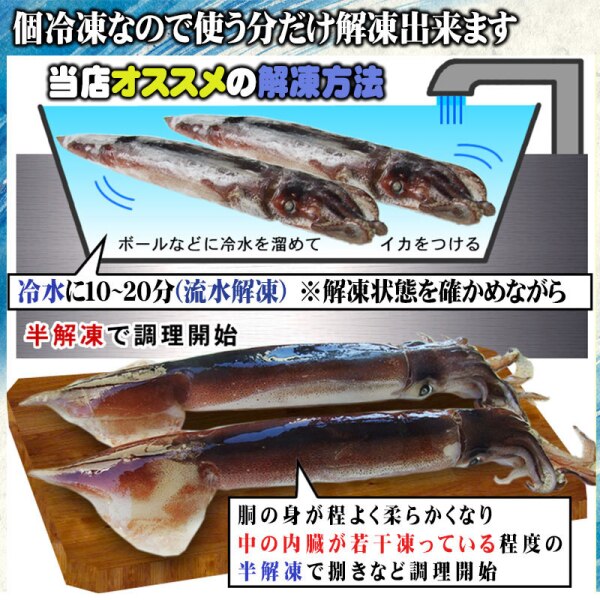 【送料無料 5杯入り！】冷凍 スルメイカ5杯セット[冷凍]お刺身用【急速冷凍】するめいか・むぎいか シマメイカ しまめいか バーベキュー ...