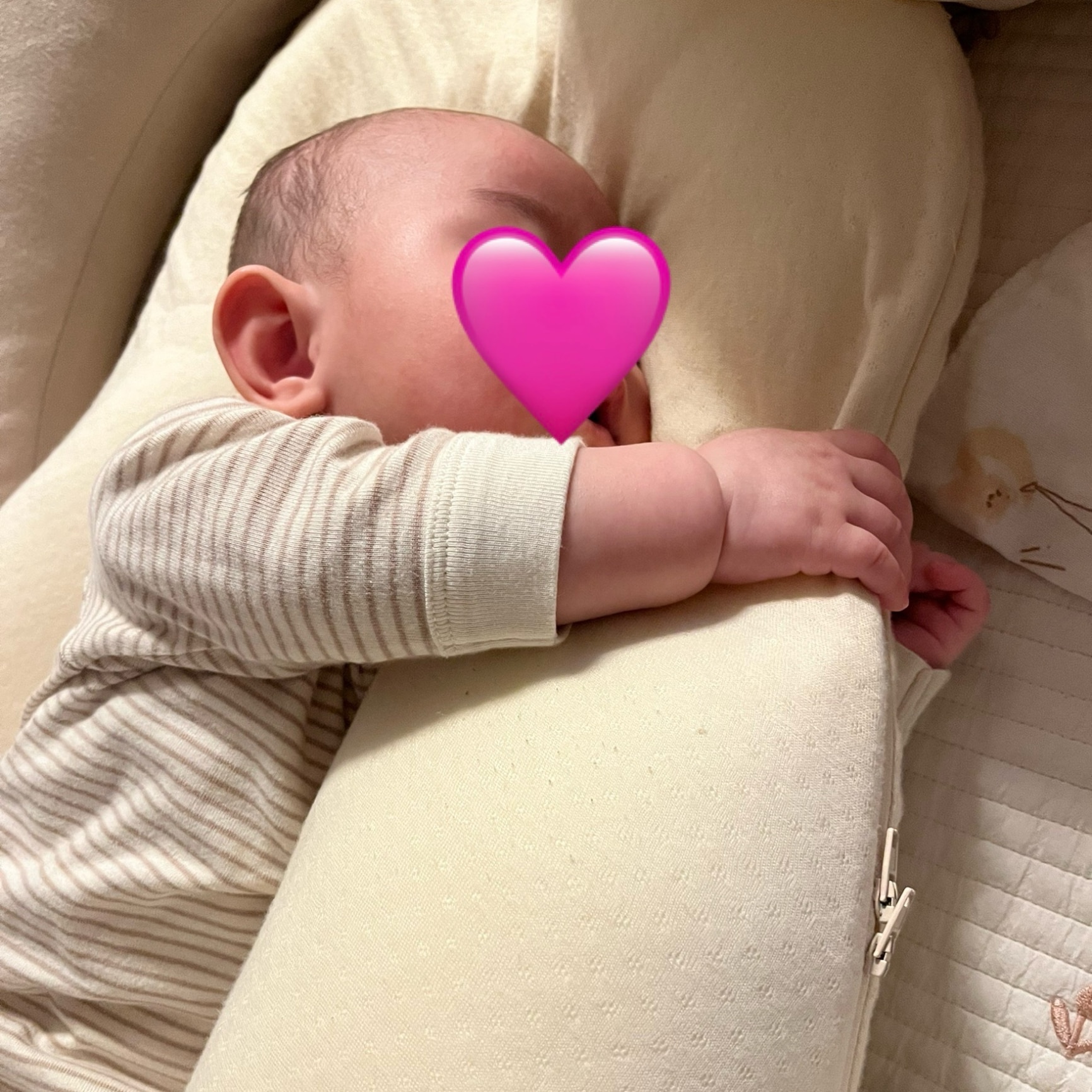 ROOM - 欲しい! に出会える。