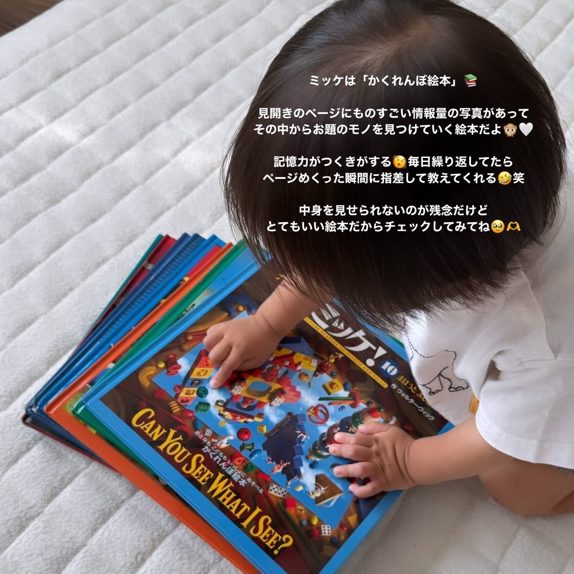 チャレンジミッケ　10巻セット ミッケ！10冊セット チャレンジ ミッケ! 6冊&ミッケ！4冊 計10冊