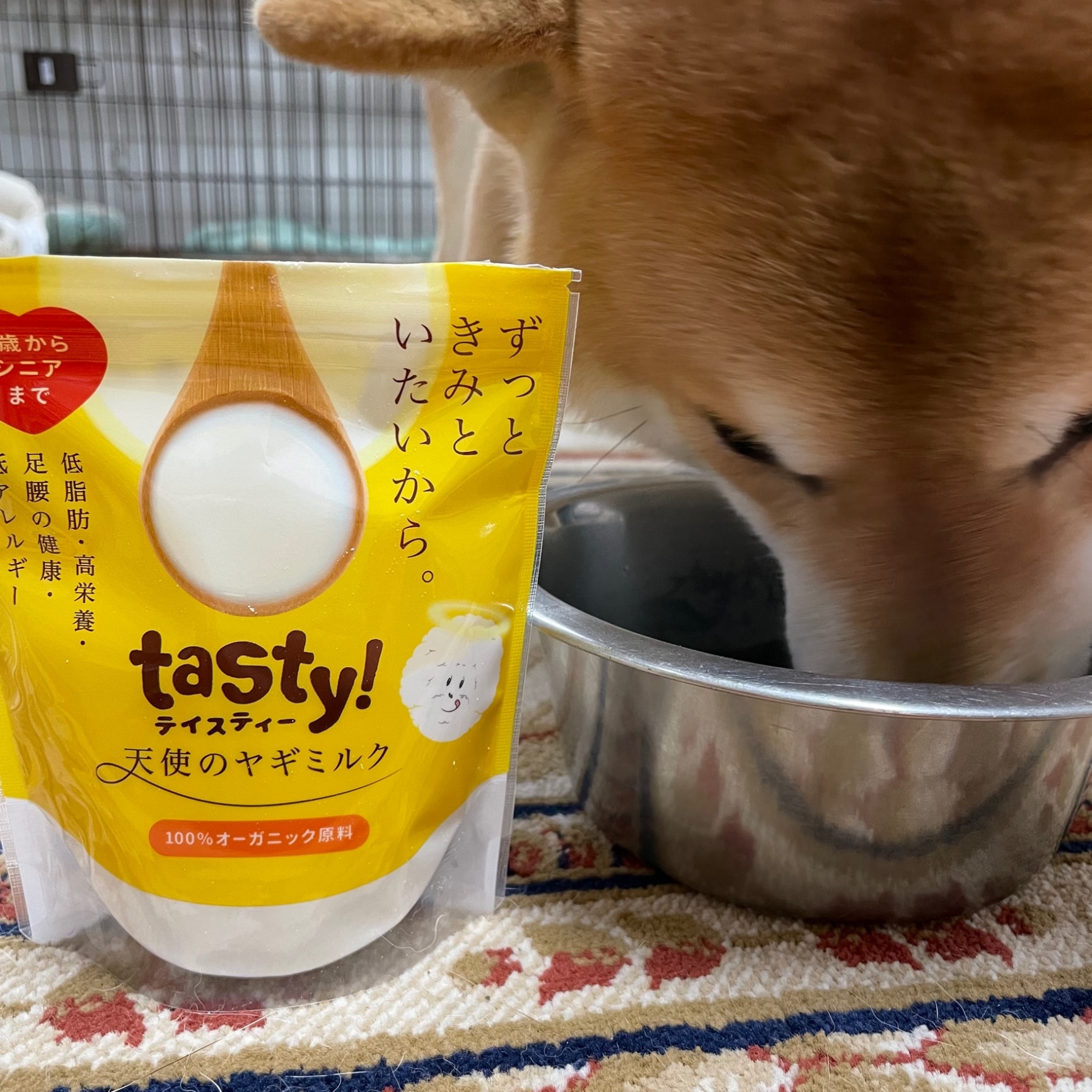 柴犬みかん園☆佐藤さん のROOM - 欲しい! に出会える。