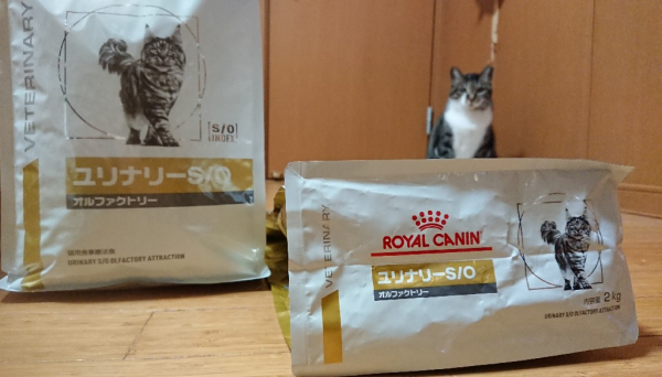 ロイヤルカナン 猫用ユリナリーS/Oオルファクトリー2kg/【療法食
