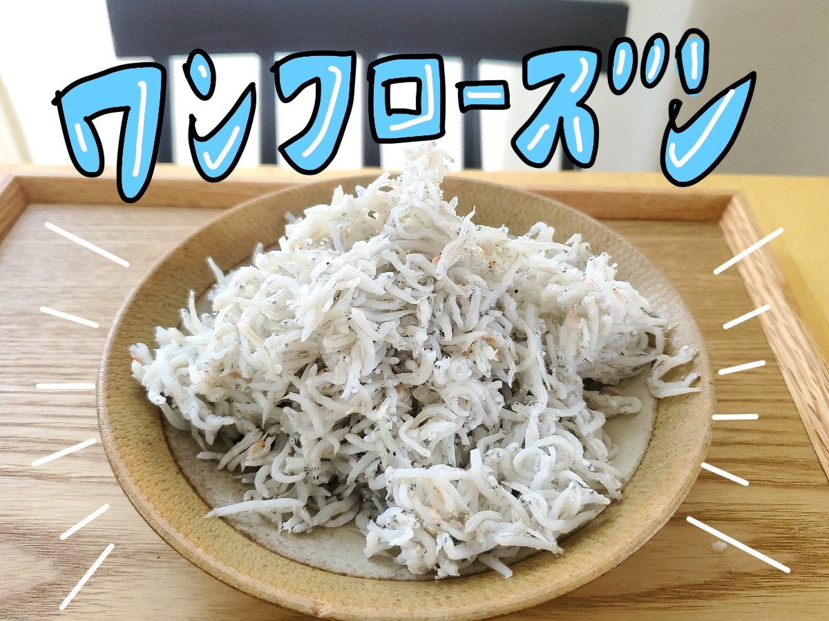 鮮度抜群！工場直送！幻の釜揚げしらす 1kg 」 ふわっふわの幻の