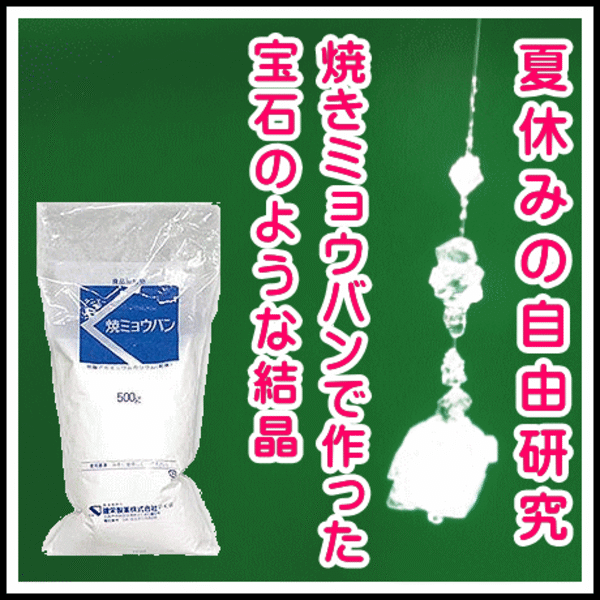 ケンエー 焼ミョウバン 500g 焼きミョウバン