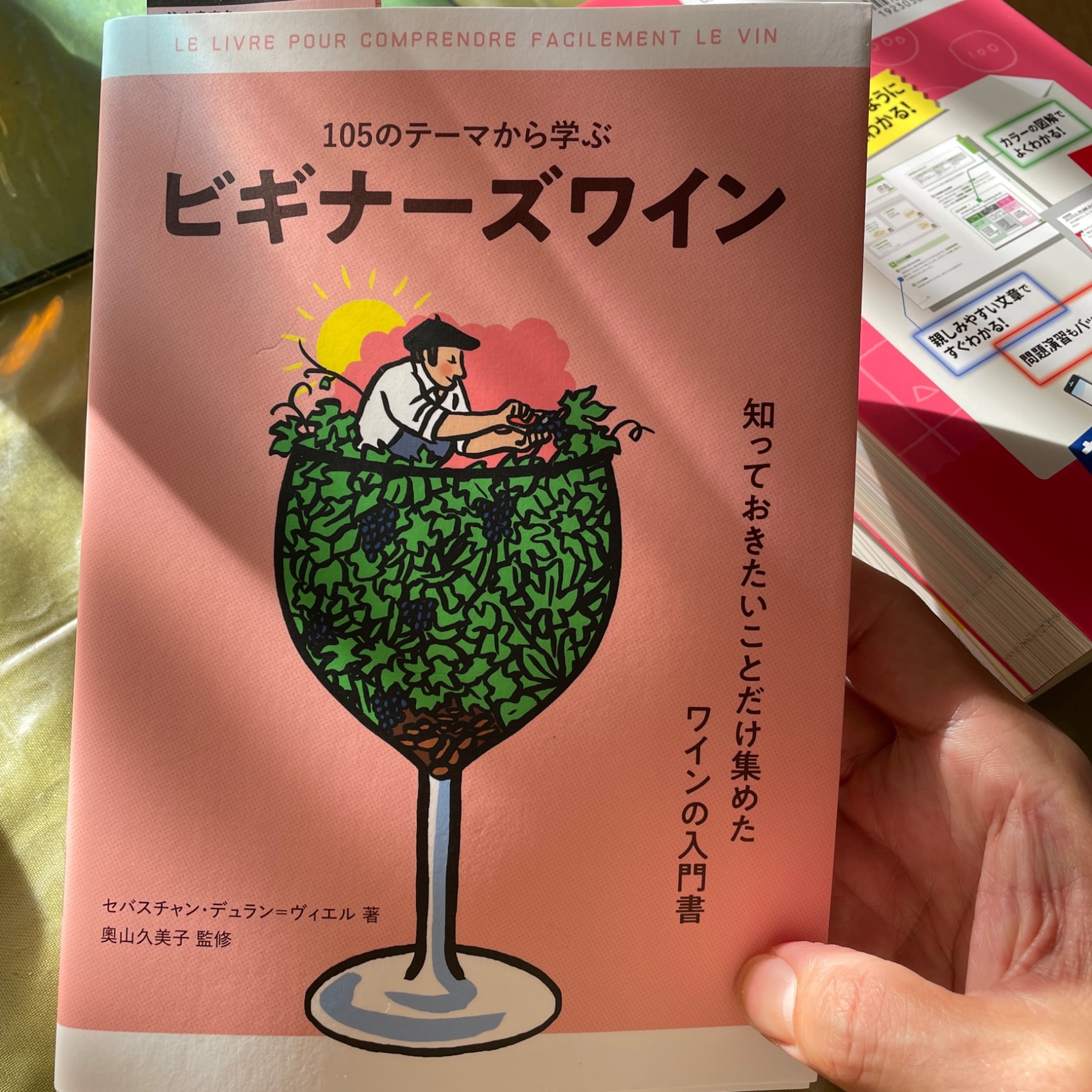 フランスのワイン産地のガイドブック（英語版）5冊セット 保存版】 フランスのワイン産地のガイドブック（英語版）5冊