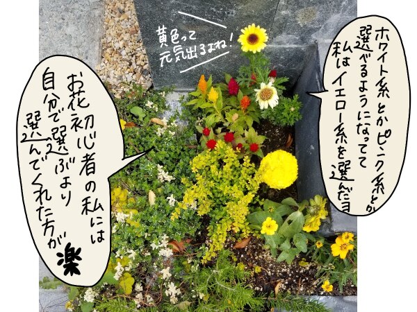 花苗 選べる花ガーデニング 季節の花苗セット 春の花 母の日 ギフト カーネーション 福袋 花壇 花 送料無料 花 お母さん 誕生日プレゼント 花 贈り物 苗物 大苗 寄せ植え 宿根草 多年草 一年草 花 フラワー 庭 手入れ 店舗花壇 苗セット 花苗 選べる花ガーデニング 季節の花苗セット 春の花 母の日 ギフト カーネーション 福袋 花壇 花 送料無料 花 お母さん 誕生日プレゼント 花 贈り物 苗物 大苗 寄せ植え 宿根草 多年草 一年草 花 フラワー 庭 手入れ 店舗花壇 苗セット