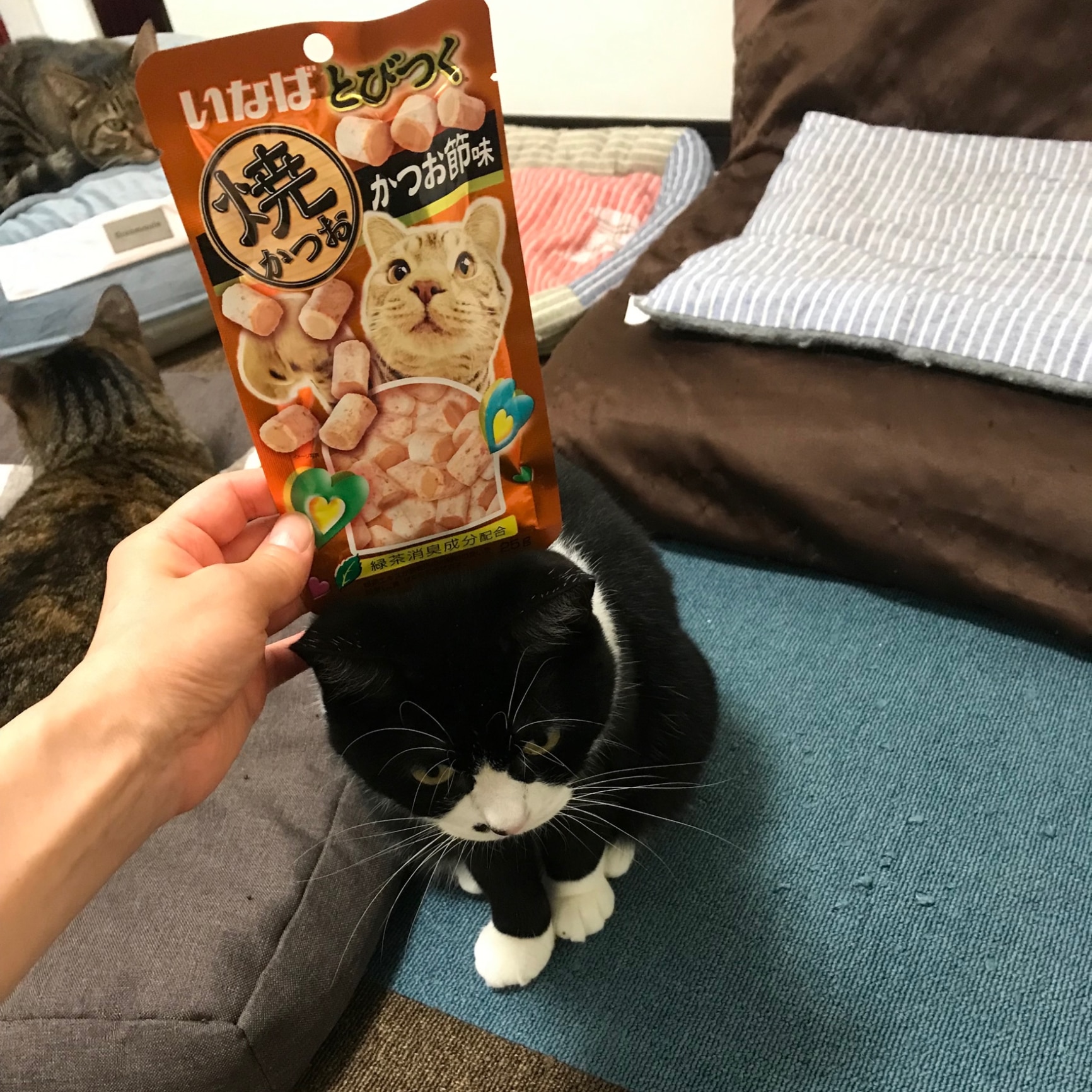 24個セット】 いなば とびつく焼かつお かつお節味 25g キャットフード