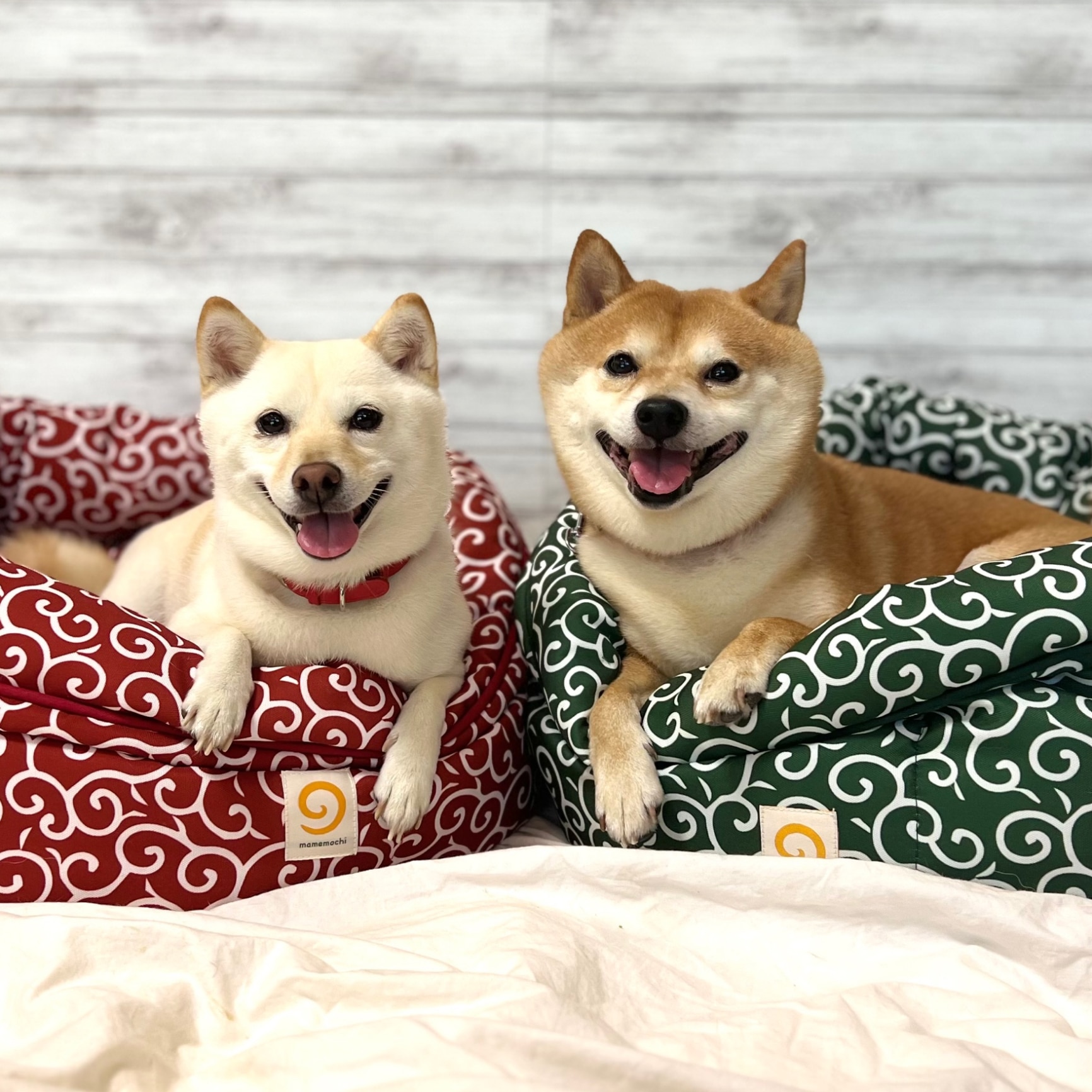 mamemochi】 唐草ラウンドベッド グリーン/レッド 柴犬 犬猫用 犬用 猫 mamemochi】 唐草ラウンドベッド グリーン/レッド 柴犬 犬猫用 犬用 猫