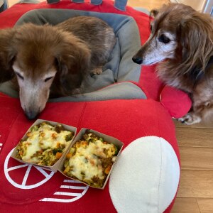 無添加 こんがりチーズの焼きカレードリア ドッグフード Dog Food 犬 手作りご飯 手作り食 Room 欲しい に出会える