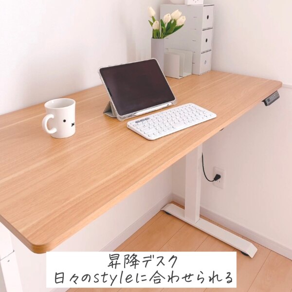 昇降デスク 電動 昇降 FlexiSpot E9 オフィスデスク 組立簡単 電動式 