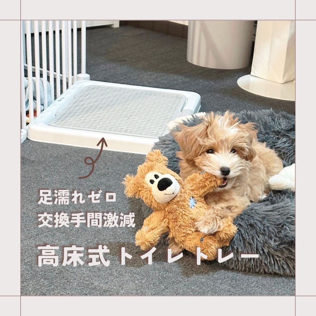 ROOM : 検索結果