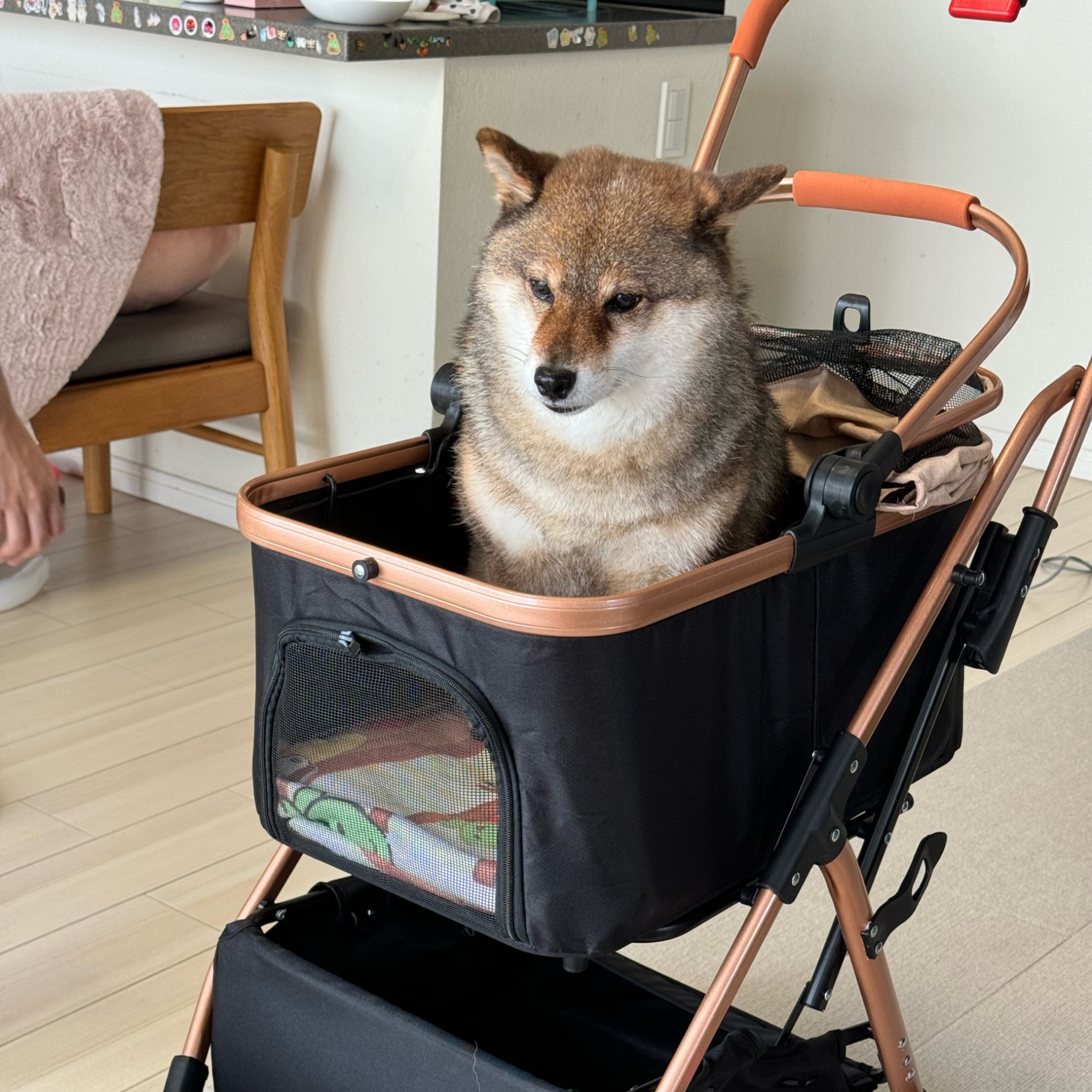 花さんのお部屋 のROOM - 欲しい! に出会える。