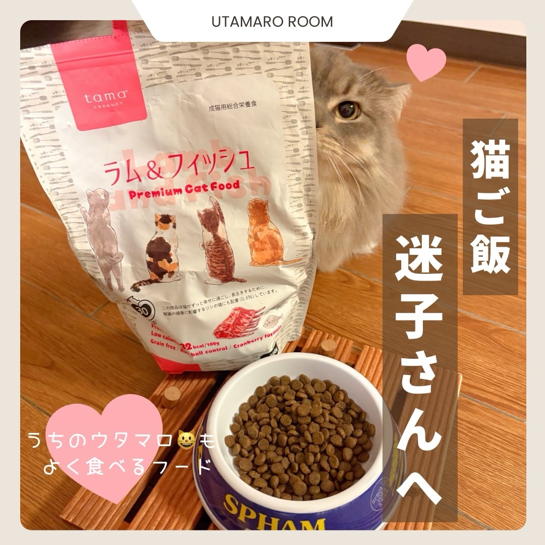 wrendale designs ⭐️ ハンナ・デール⭐️ペット用餌入れ特大　大　小 Wrendale Designs by Hannah Dale レンデルデザイン ハンナ・デール