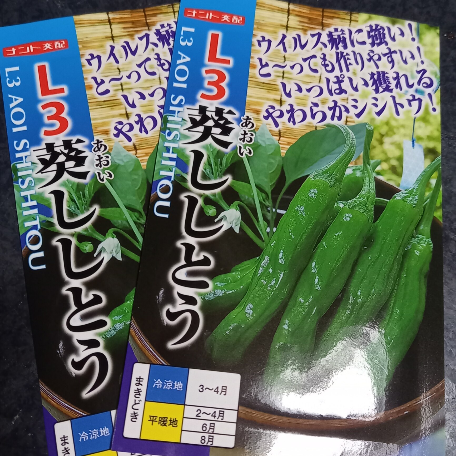 ナント種苗 「L3葵ししとう」のタネ 約20粒