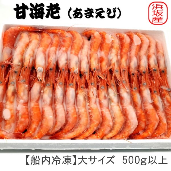 甘えび 【船内冷凍】大サイズ 500g 以上 兵庫県 浜坂産 最もおいしい時期の 大粒 甘エビ 冷凍 国産 日本 えび 海老 アマエビ ...