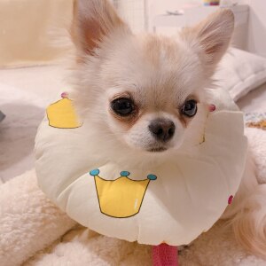 うにちゃん えびちゃんのroom 欲しい に出会える うにちゃん えびちゃんのroom 欲しい に出会える