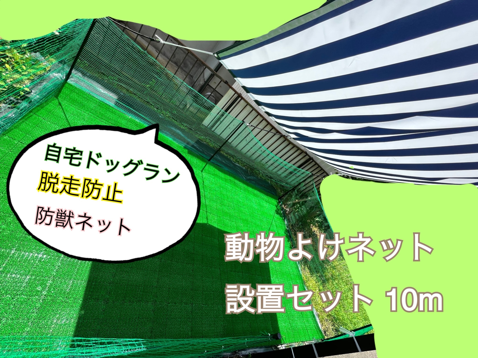 b860e32025a52e2eb83c269c81520a