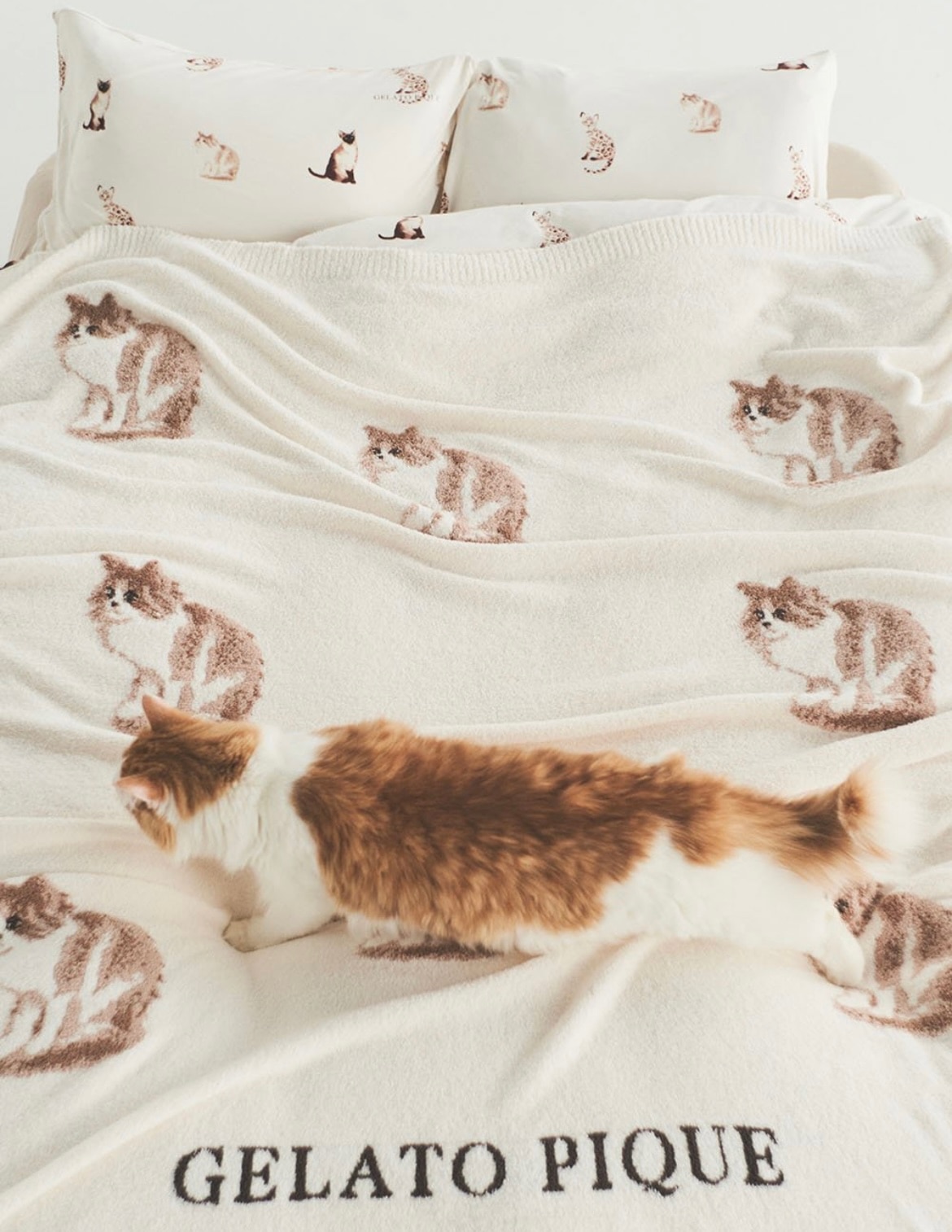 30%OFF】gelato pique Sleep 【Sleep】CAT&DOGジャガード
