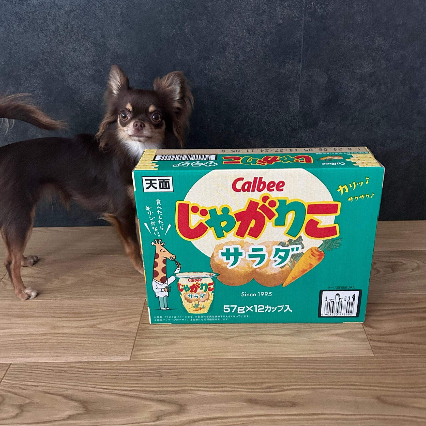 送料無料】カルビー じゃがりこ サラダ 57g×12個 サラダ味 大容量 12