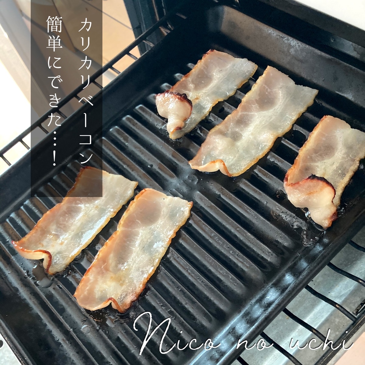 【楽天1位】 グリルプレート L 日本製 陶器 ブラウン ブラック 耐熱皿 耐熱陶器 直火 オーブン 電子レンジ 魚焼きグリル プレート オーブン料理 ロースター グリルパン TOOLS イブキクラフト マイスターハンド ギフト おしゃれ
