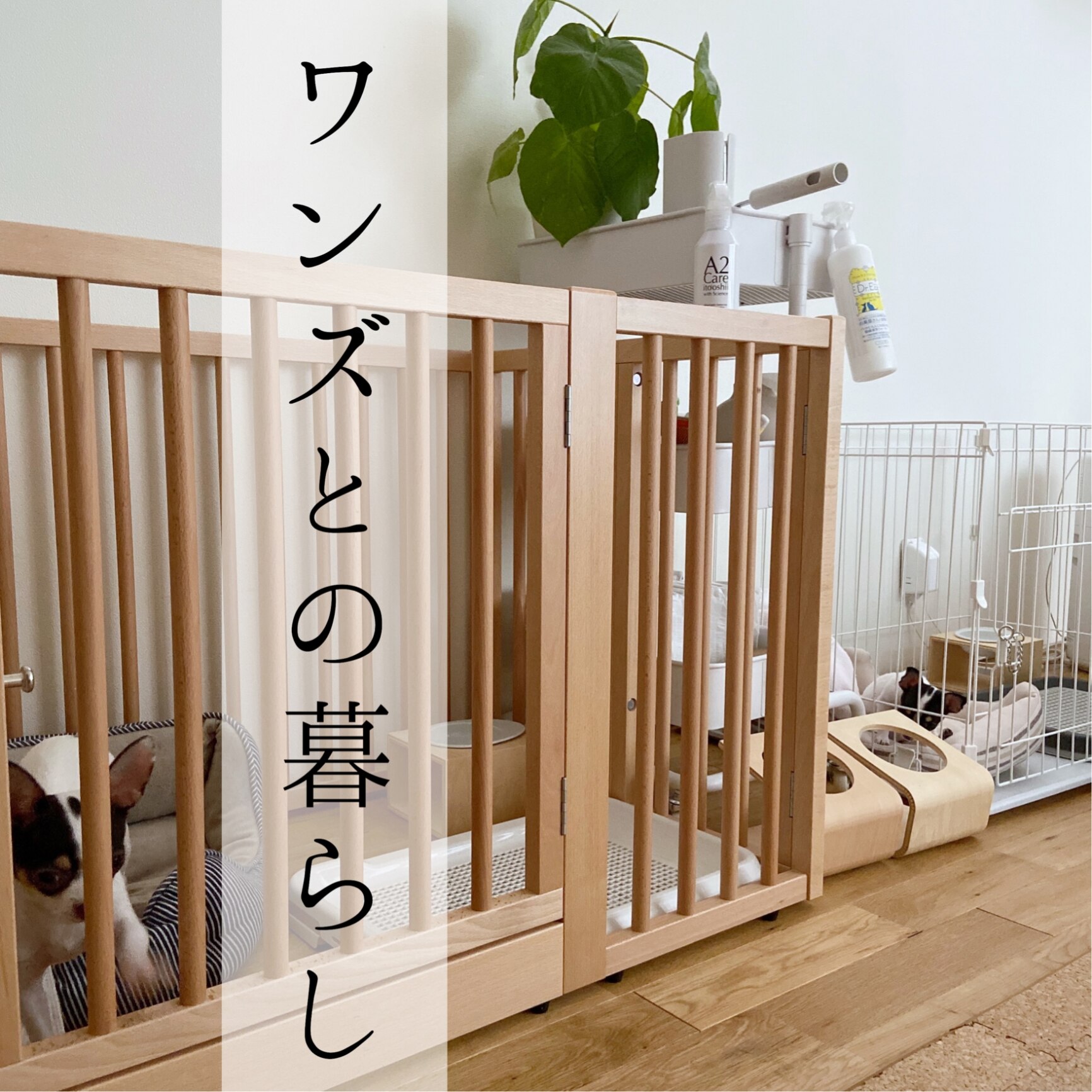 日本製 「木製ワンタッチ ペットサークル Sサイズ」 中型犬 小型犬 