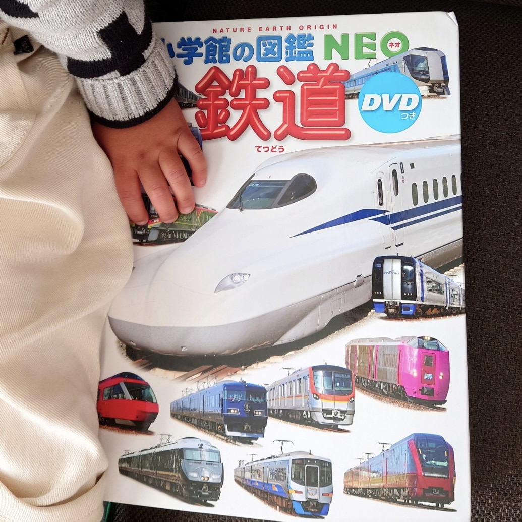 鉄道 DVDつき （小学館の図鑑NEO） [ 長根 広和 ]