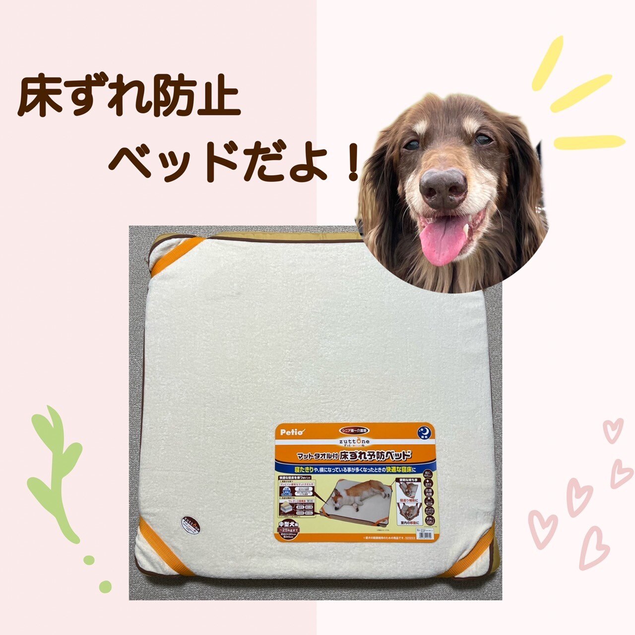 LINE追加で500円OFF！】 ペティオ[Petio] ずっとね 老犬介護用 マット