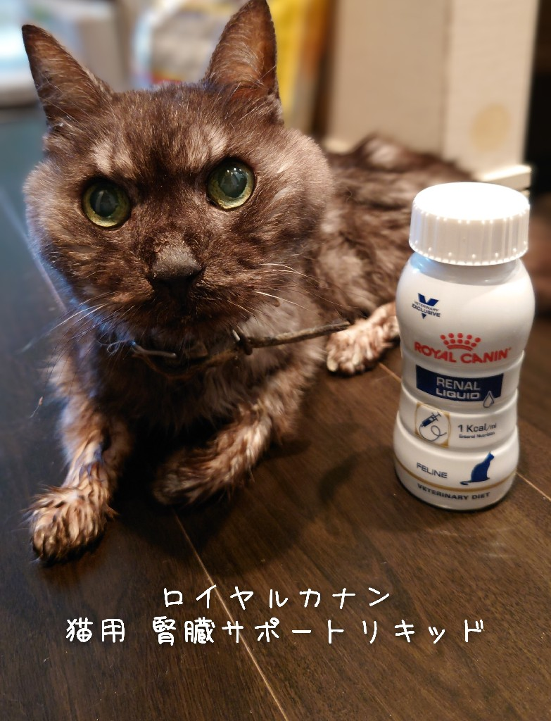 ロイヤルカナン 食事療法食 猫用 腎臓サポート リキッド 200mL×3本 