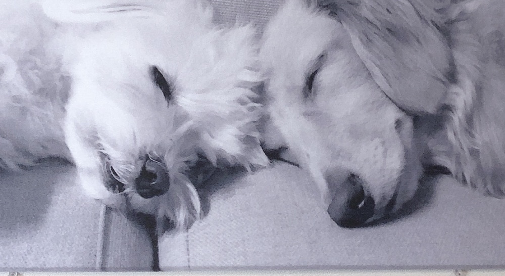 田舎でおしゃれのroom 欲しい に出会える