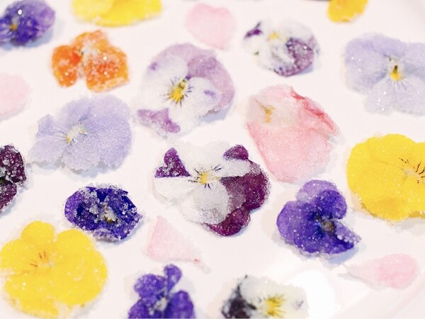 食用花 日時指定可 お急ぎの方は最短希望と備考欄にお書き下さい エディブル フラワー 冬季の花は50 70輪程度です 冷蔵保存にて夏季は5日程度冬季は一週間程度