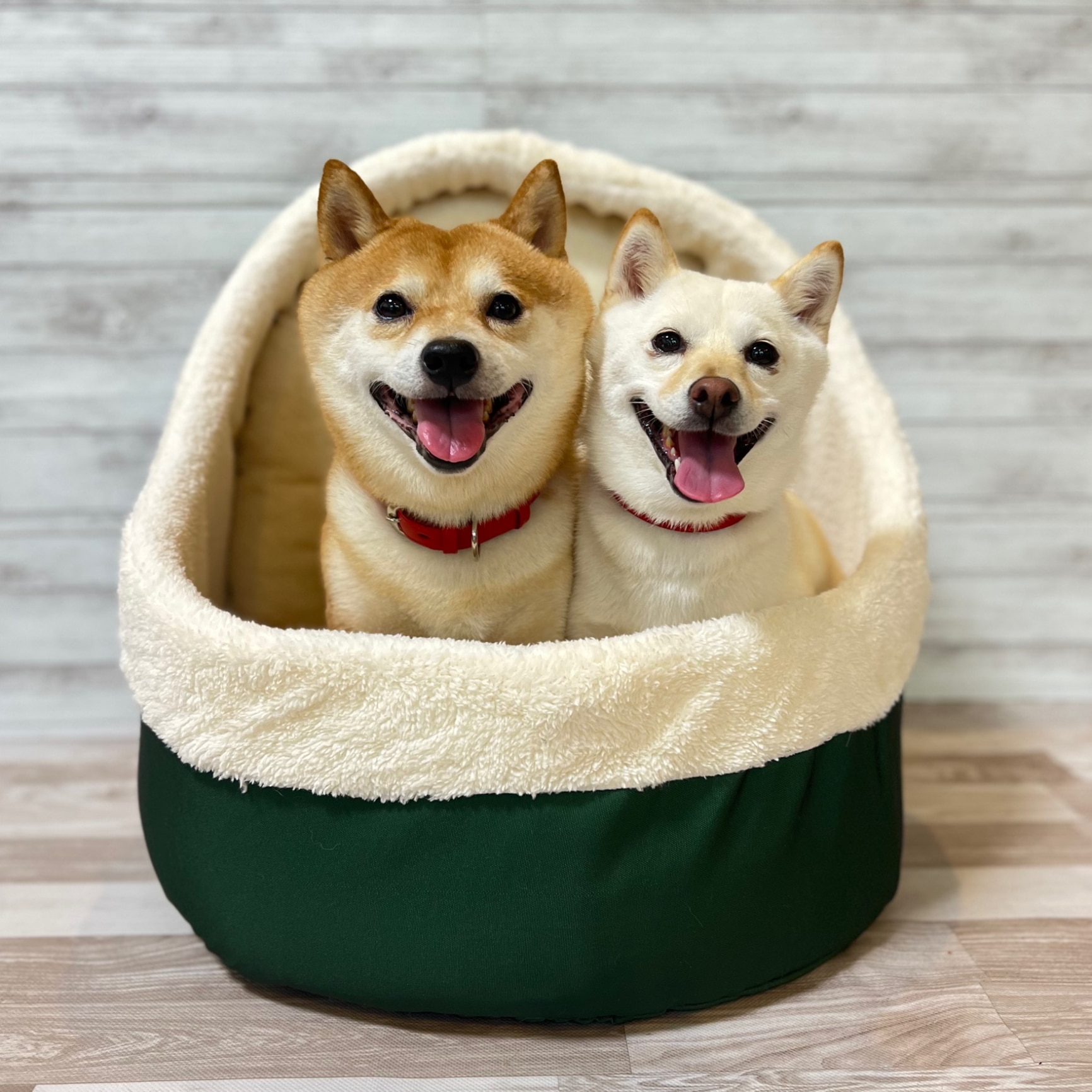 mamemochi】 ツボる2wayベッドmm233-053-001柴犬 犬猫用 犬用 猫用 犬