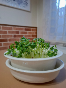 ROOM : 検索結果