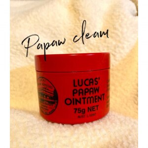 国内発送 保湿クリーム ルーカスポーポークリーム 75g 送料無料 パパウクリーム ポーポー軟膏 万能クリーム パパイヤ パパイア パパイン酵素 肌 乾燥 保湿 肌荒れ オーストラリア 大容量 Lucas Papaw Ointment Room 欲しい に出会える