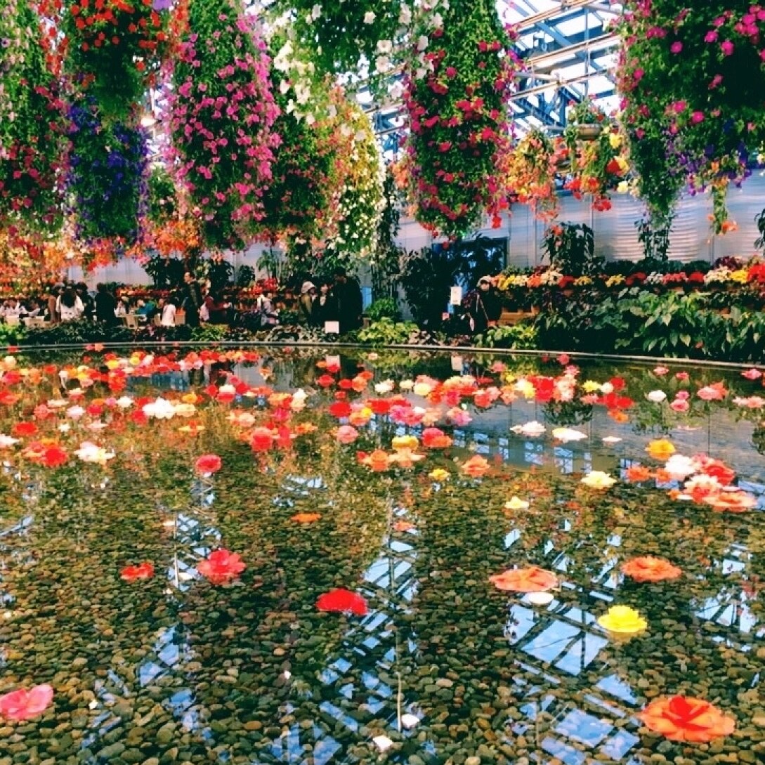 みきめろちゃん のroom 欲しい に出会える