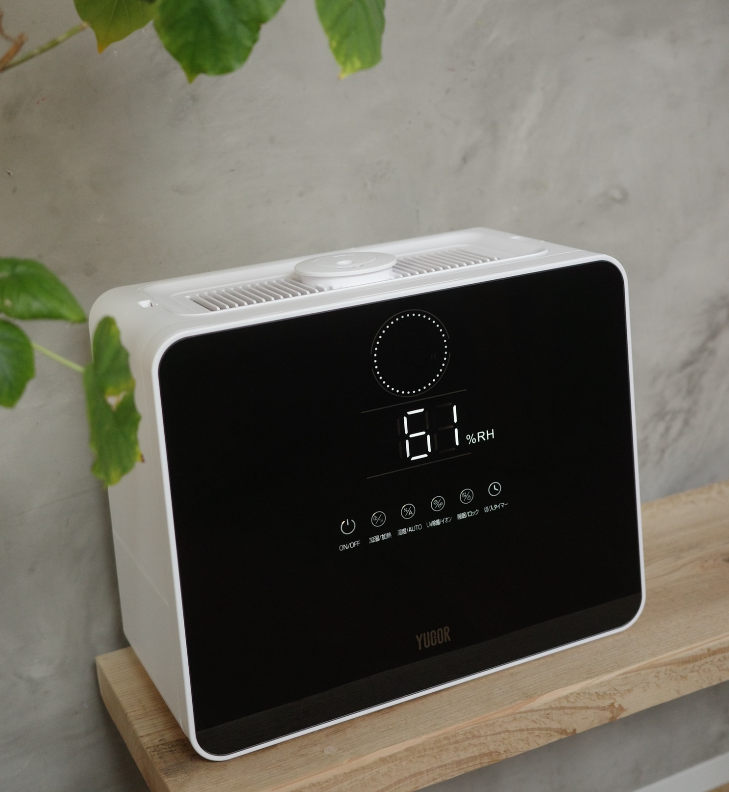 もちこ⌇roomインフルエンサー のROOM - 欲しい! に出会える。