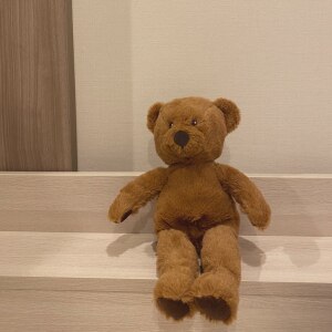 Ikea Brunbjorn イケア ソフトトイ クマ 003 650 14 クマのぬいぐるみ ビルドアベア テディベア Room 欲しい に出会える