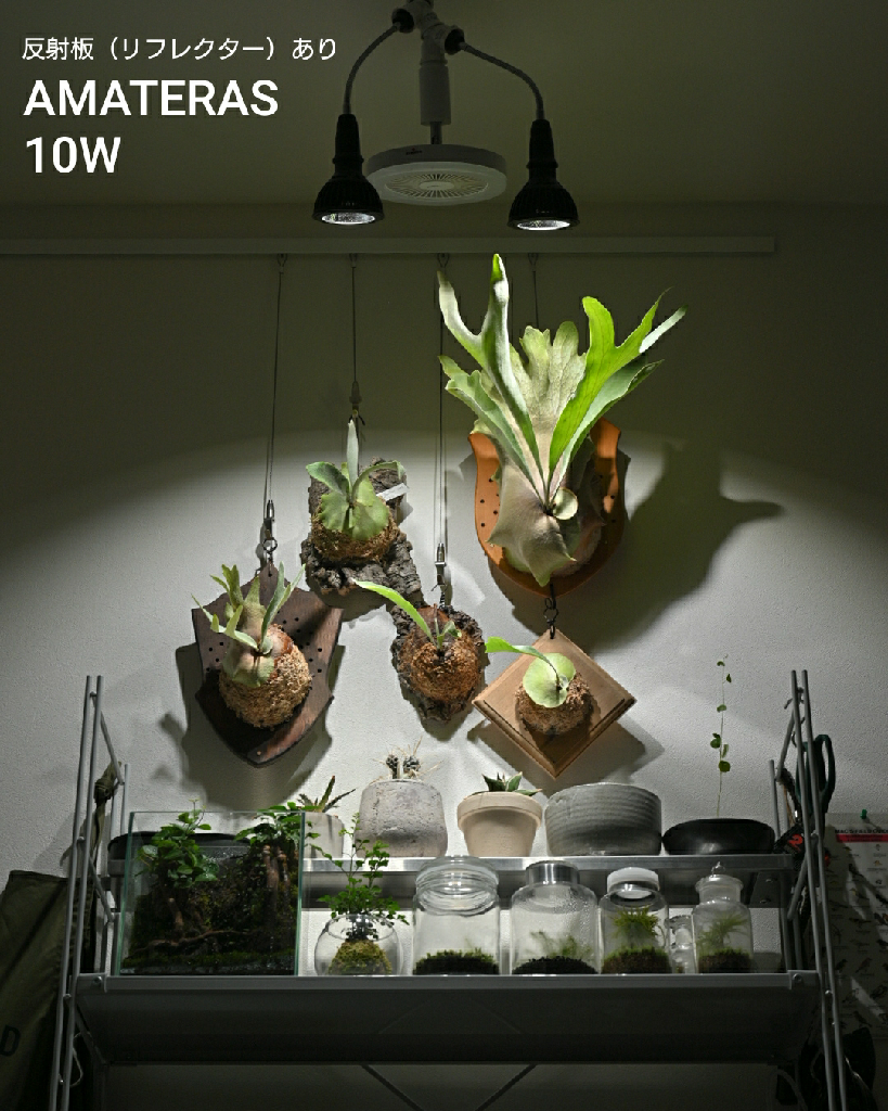 アマテラス LED 10w 植物育成ライト - 照明