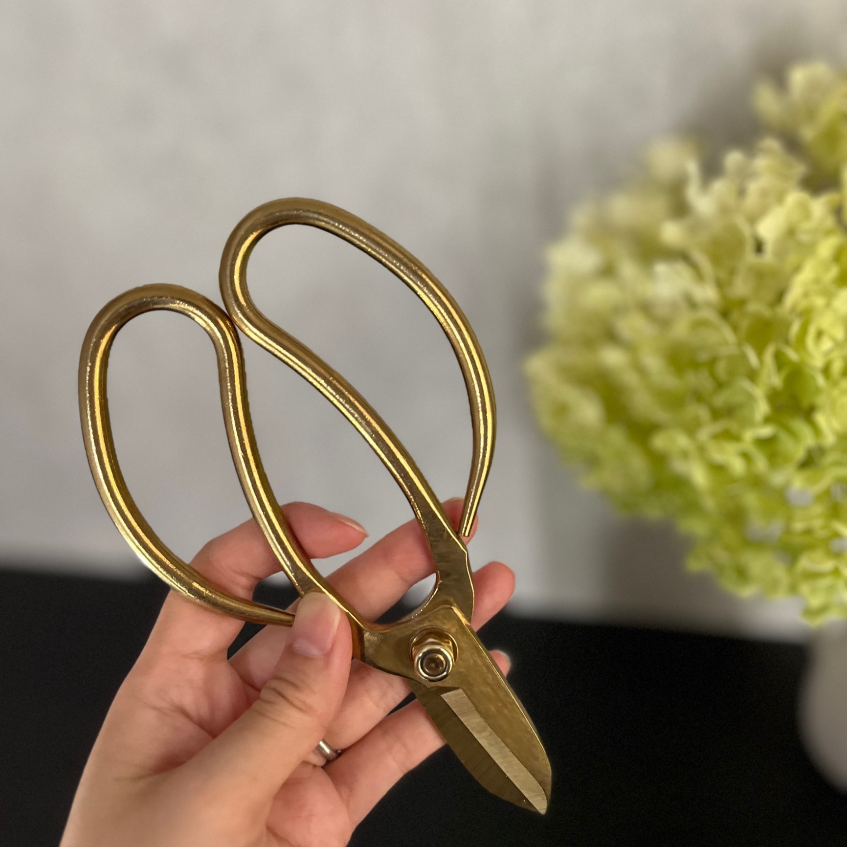 ボンサイ シザーズ B DULTON ダルトン K655-748B BONSAI SCISSORS A 剪定ばさみ 剪定バサミ 花鋏 園芸用品 剪定鋏 剪定ハサミ  剪定はさみ ガーデン用品 道具 草取り おしゃれ インテリア ガーデニング