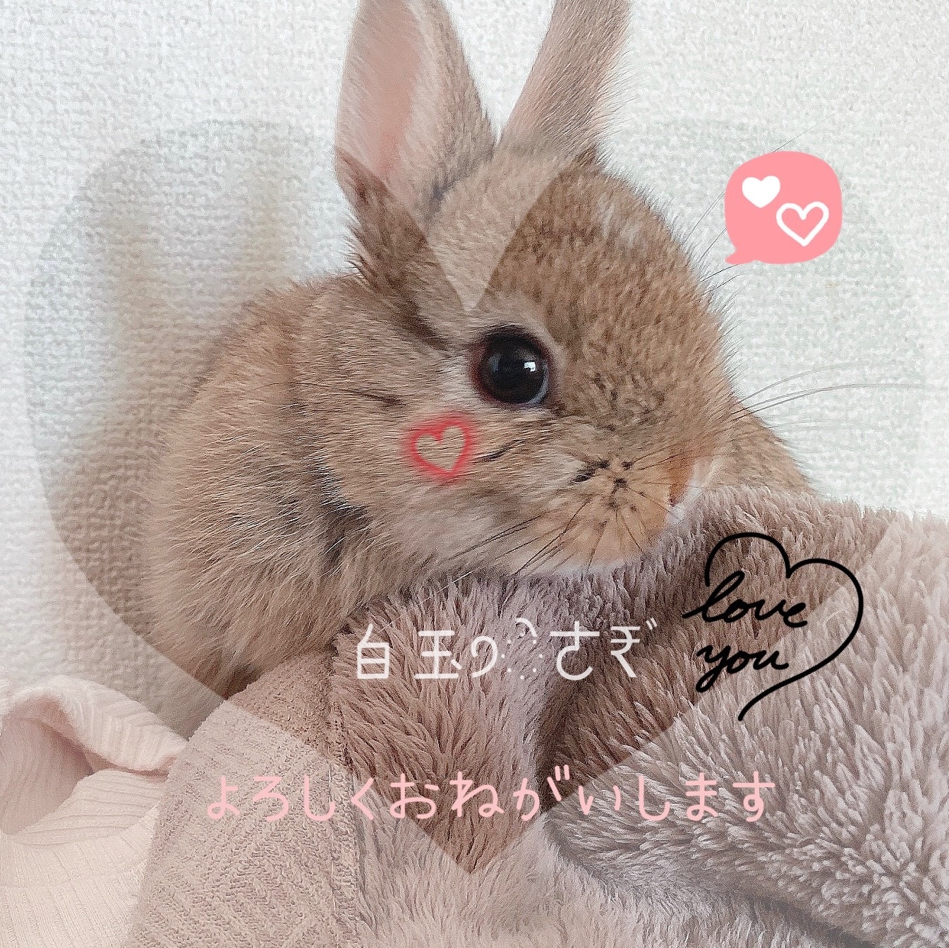 映画 ペット PETS スノーボール ぬいぐるみ フィギュア トイスケルトン