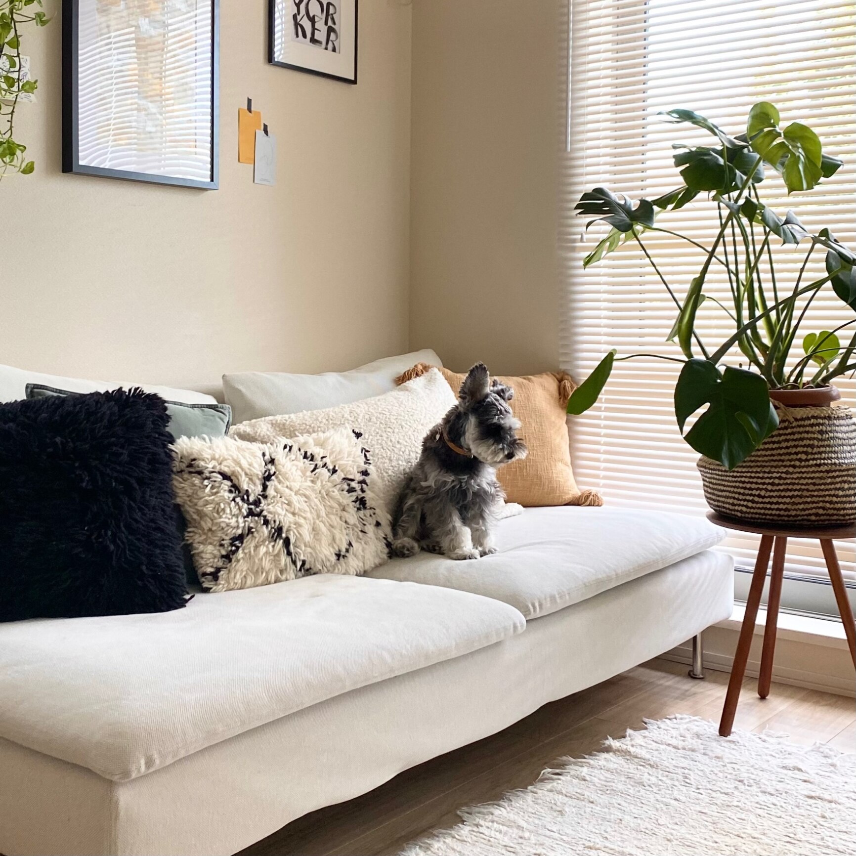 mariのROOM - 欲しい! に出会える。