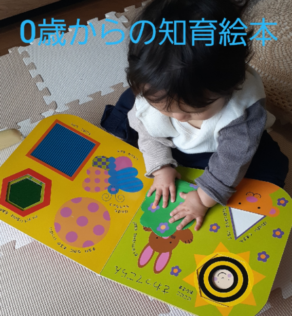 Amazon.co.jp: ぷれいぶっく (赤ちゃんの脳を育てるBABY TOUCH