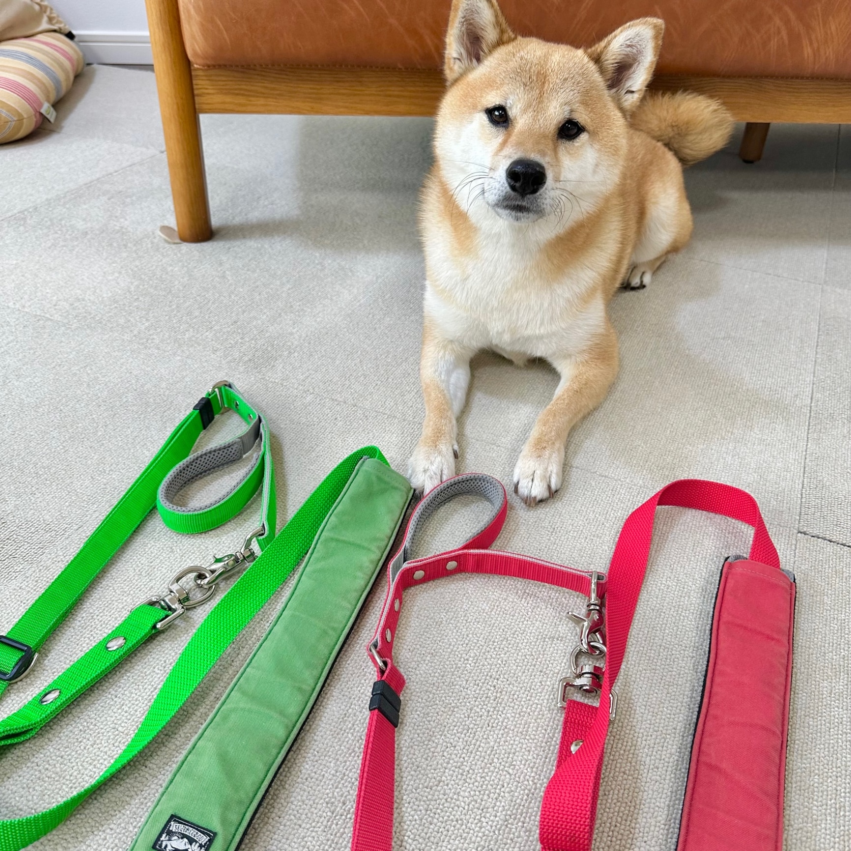 c67cf560ec08a257deaaba5088ef2a