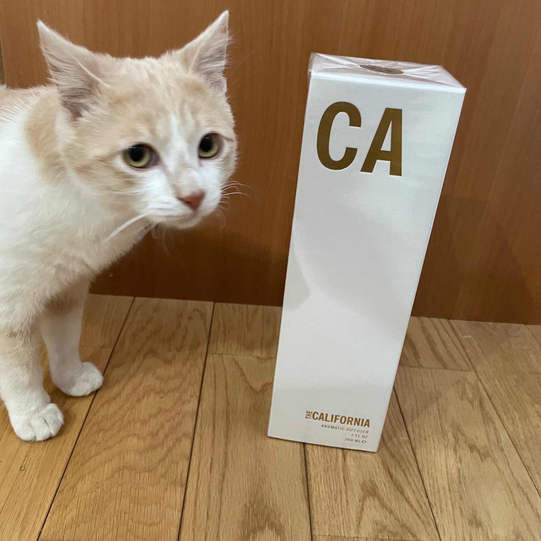 APOTHIA THE CALIFORNIA ディフューザー 200ml - 芳香器