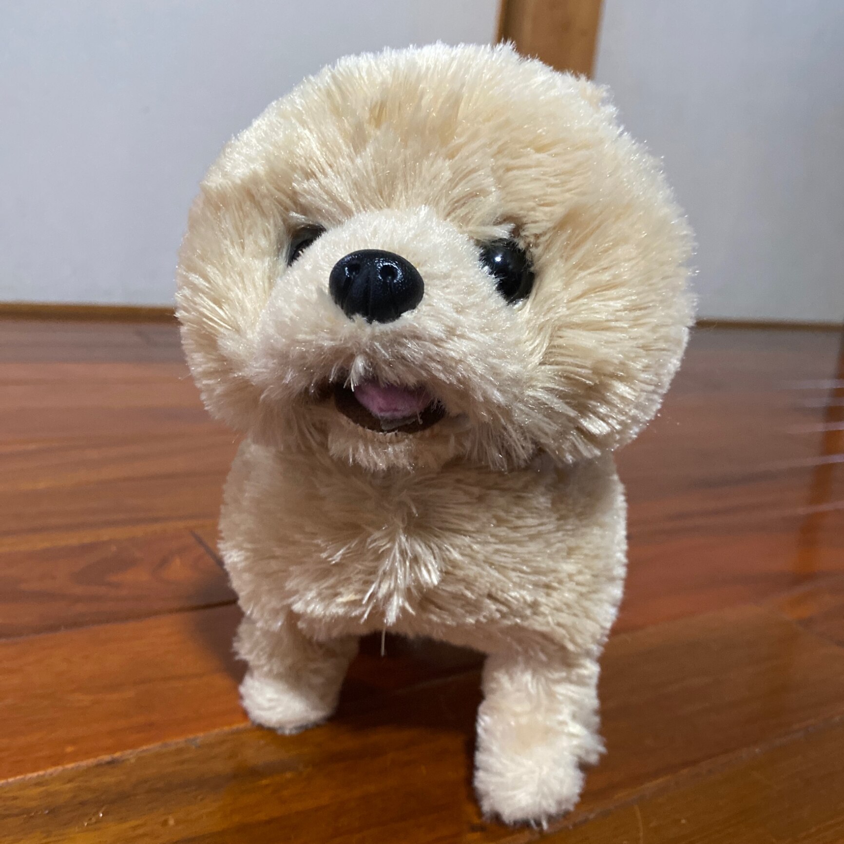 いっしょにあそぼう ポメまるちゃん ぬいぐるみ ggw725x Amazon.co.jp: イワヤ いっしょにあそぼう ポメまるちゃん