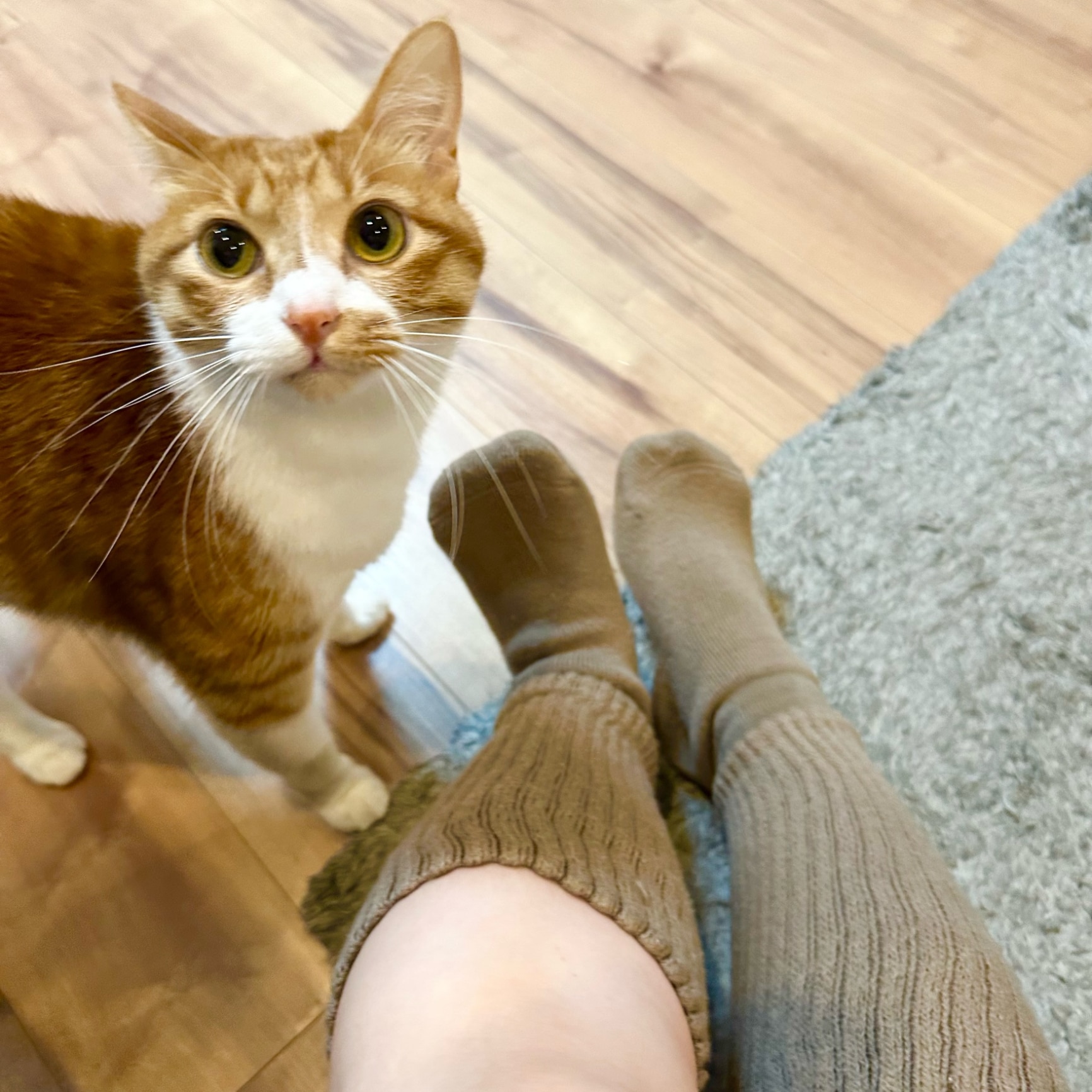 スナイデルホーム　3点セット セットアップ3点セット(すべてのワンピース)｜スナイデルホーム