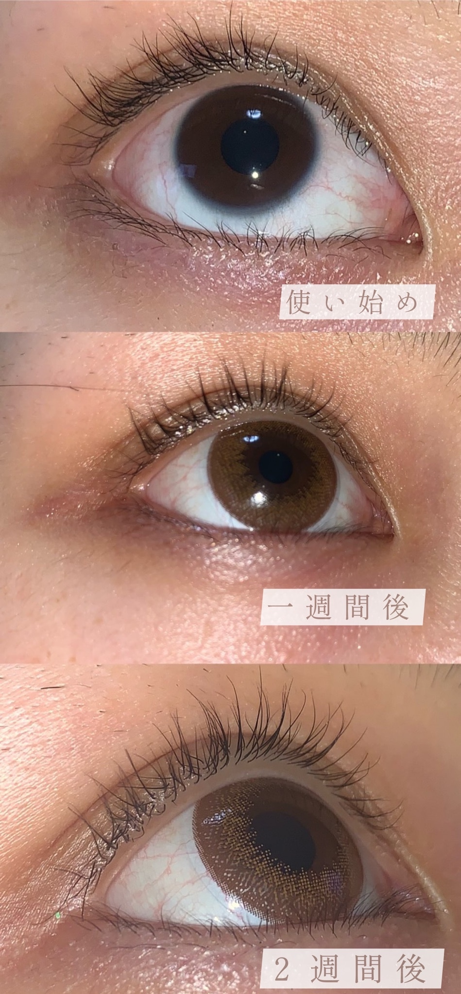 最大3,000円OFF／エマーキット EMAKED まつ毛美容液 まつ毛 アイケア