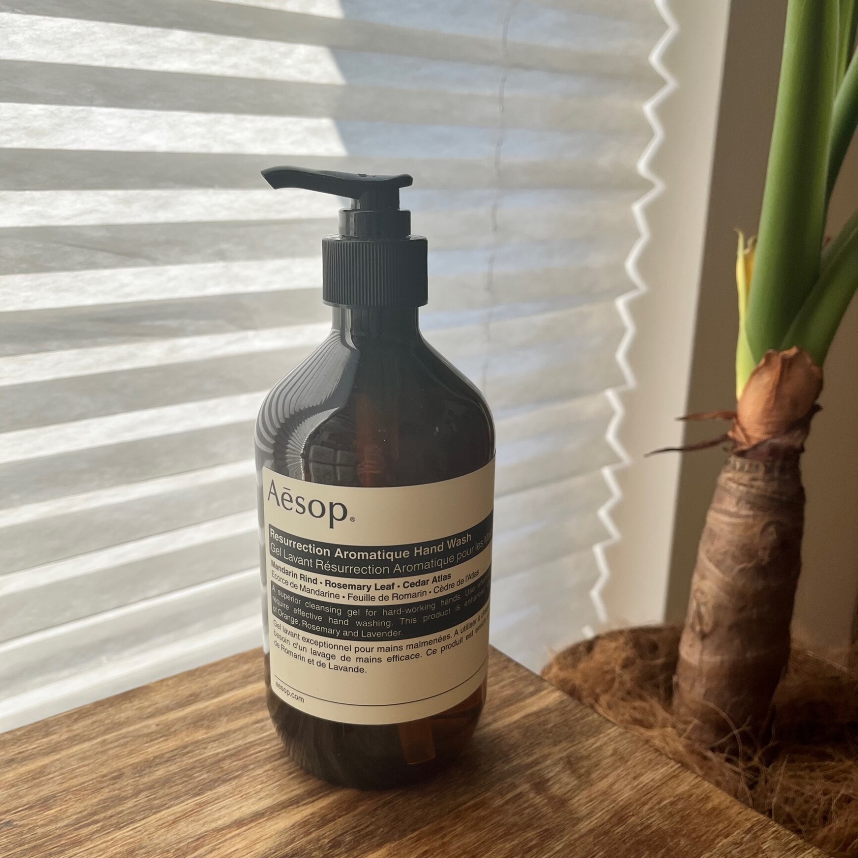 ☆ポイント10倍・割引クーポン☆AESOP イソップ ハンドウォッシュ