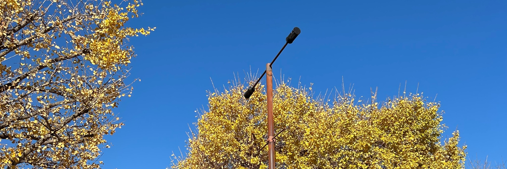 未使用品お値引き⭐桃いろコンパクトな三段飾り(幅約60奥行き約53高さ約63）⭐ 未使用品お値引き⭐桃いろコンパクトな三段飾り(幅約60奥行き